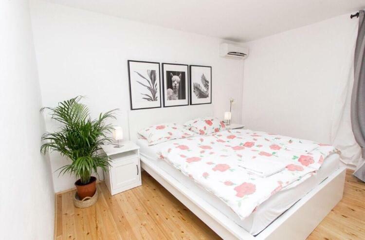 Apartments And Rooms Ille 시베니크 외부 사진